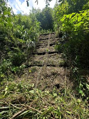 基隆割草