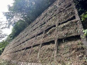 基隆割草