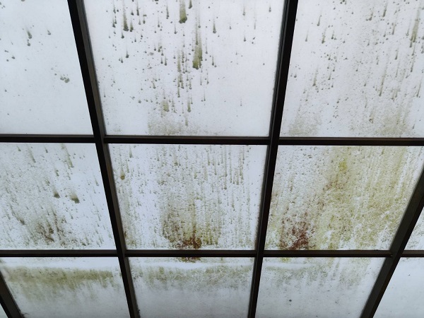 台北市內湖區清潔公司