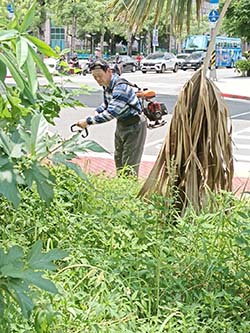 板橋清潔公司