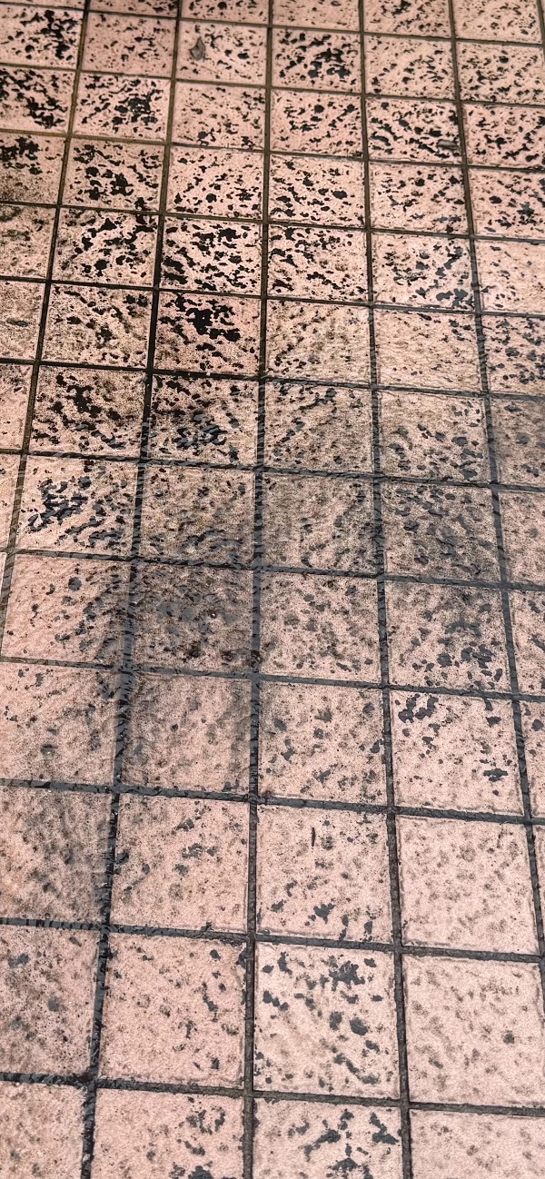 新北市永和區社區中庭地板清洗