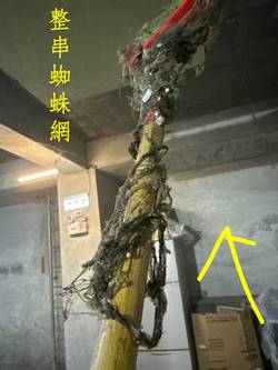 新店清潔公司
