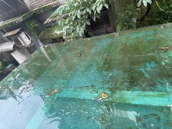 汐止清潔公司