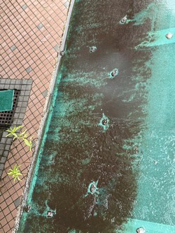 汐止清潔公司