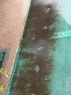 汐止清潔公司