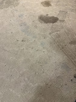 汐止清潔公司