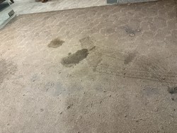 汐止清潔公司