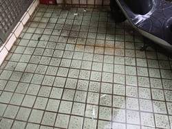 淡水清潔公司