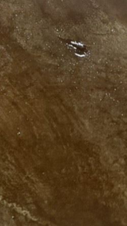 桃園中壢清潔公司