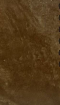 桃園中壢清潔公司