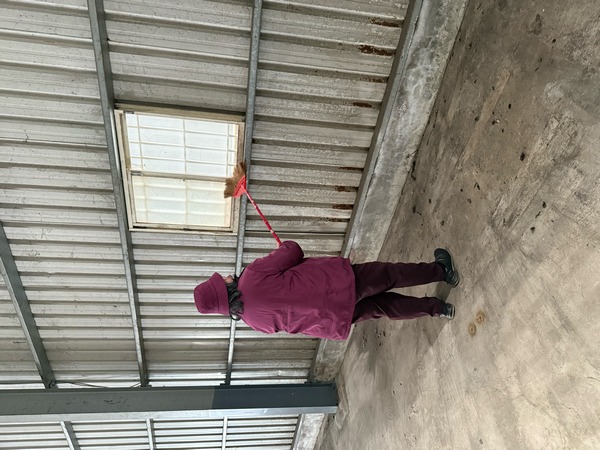 桃園市龜山區工廠牆面除蜘蛛網