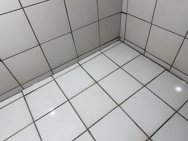 新北市瑞芳區水塔清洗