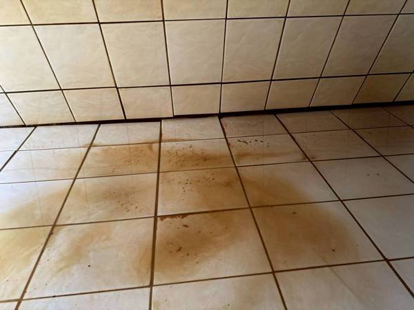 桃園龜山水塔清洗