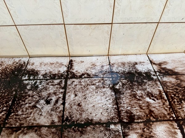 桃園龜山水塔清洗