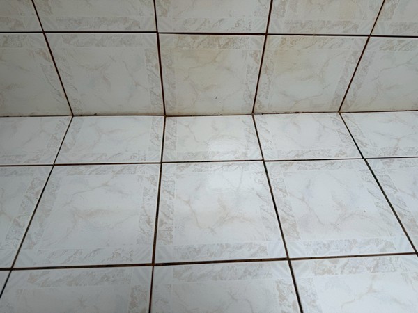 桃園龜山水塔清洗