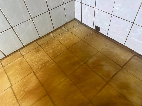 桃園新屋洗水塔01
