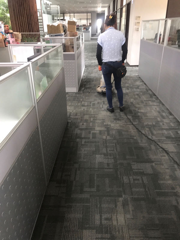 新竹洗地毯
