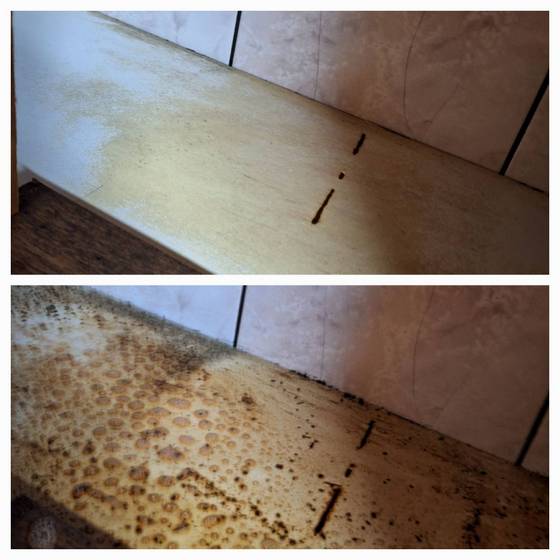 宜蘭員山鄉清潔公司